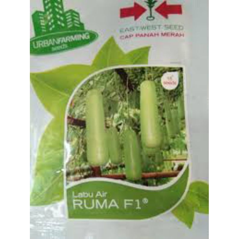 Benih Bibit Labu Air Ruma F1 cap Panah Merah - LABU AIR RUMA F1