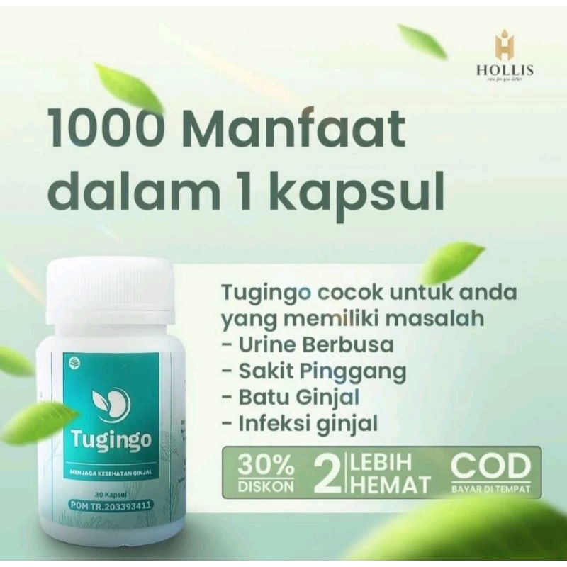 TUGINO OBAT BATU GINJAL / HERBAL PENYAKIT KRONIS / GAGAL GINJAL
