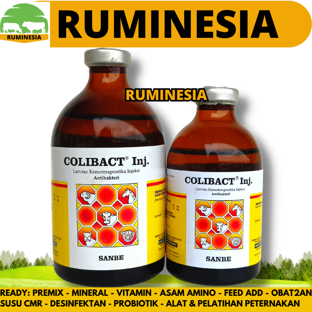 COLIBACT INJEKSI 50ML COLIBACT INJ 100ML SANBE - Obat Antibiotik Hewan Mencret Diare Sapi Kambing Do