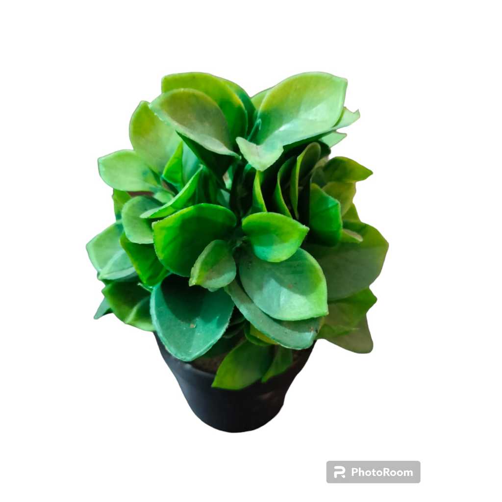 Tanaman Artificial Palsu Mirip Asli Dekorasi Aesthetic