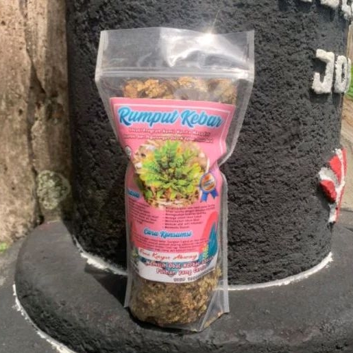 

Rumput Kebar Asli Papua 350 gram Untuk Promil Khusus Wanita