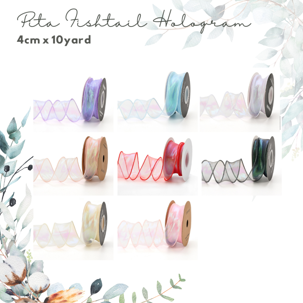 

Pita Fishtail Hologram / Pita Korea / Pita Aurora