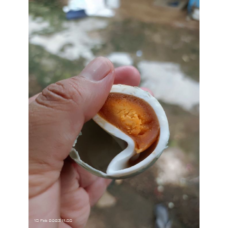 

Telur asin Ganesha masirr