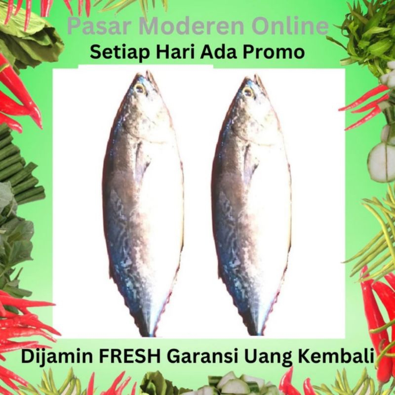 

IKAN TONGKOL SEGAR 500 GRAM/PEDAGANG/LAPAK/BAKUL/KEDAI/WARUNG/JUAL BELI SAYUR SAYURAN DAN IKAN SEGAR TERMURAH/PASAR MODEREN ONLINE