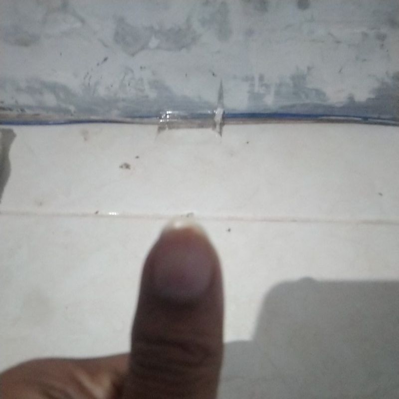 

Krupuk solo sudah matang isi 11 biji