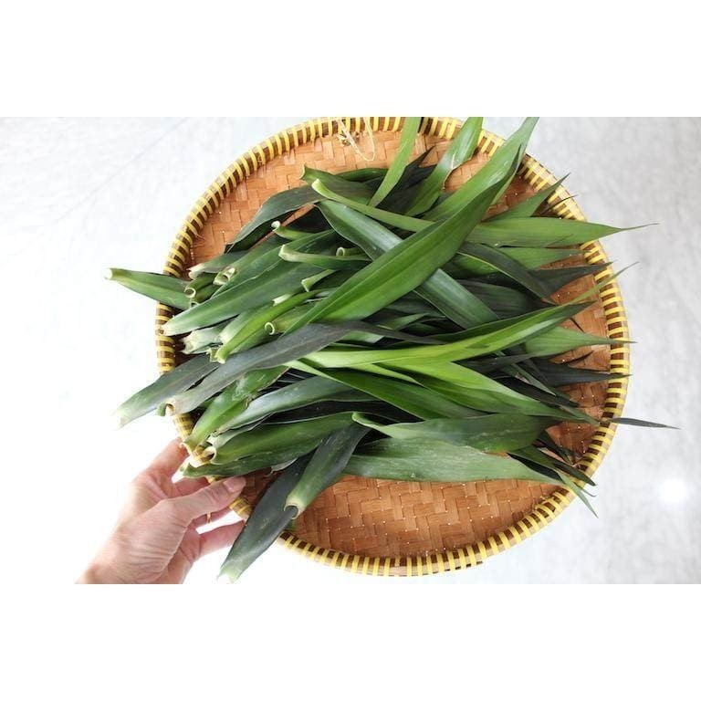 

Daun Pandan Segar - Non Pestisida, Ready Bisa Gojek/Grab