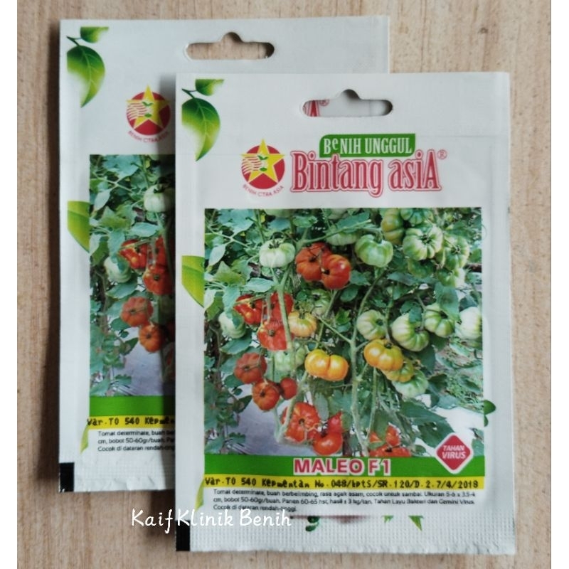 Benih Tomat Maleo Isi 0,5gram - Tomat Rampai Cap Bintang Asia