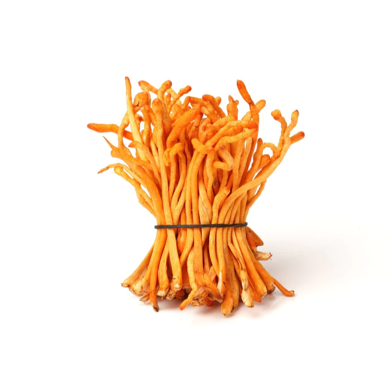 

Banikko76 Bunga Cordyceps Militaris Jamur / Flower Jin Chong Cao Hua 50Gr