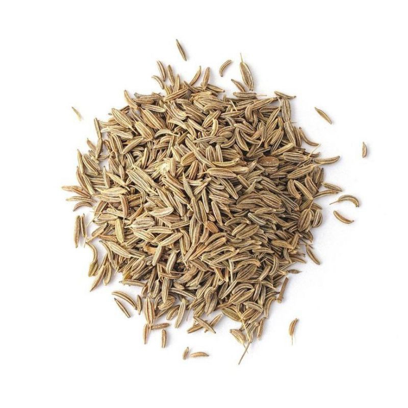 

Jintan jinten cumin seeds 100gr