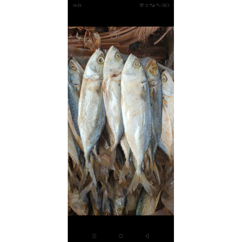 

ikan asin peda