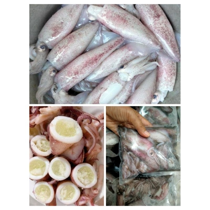 

Cumi Bertelur Mix Besar ±500gr MURAH