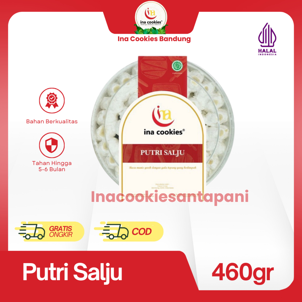 

Ina Cookies Kue Kering Premium Putri Salju Toples Reguler