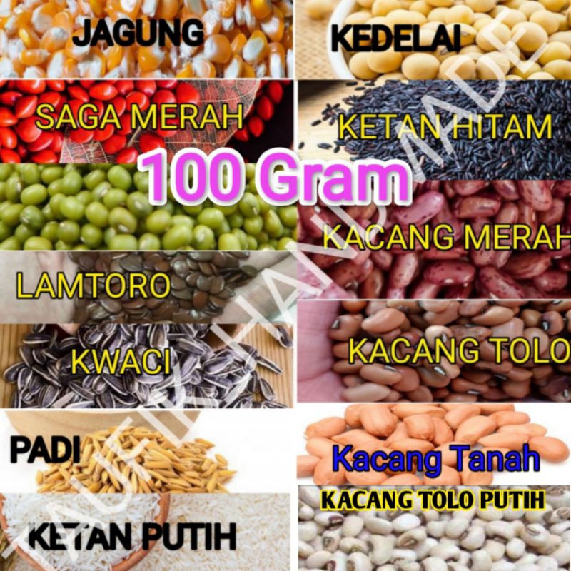 

Biji Bijian Bahan kolase Kemasan 100gram