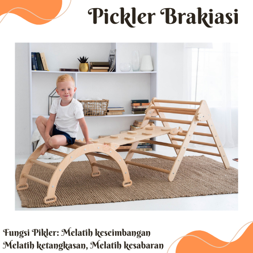 PIKLER BRAKIASI 1 SET ISI 3 PIKLER BRAKIASI MAINAN ANAK ANAK UNTUK MELATIH KESABARAN SERTA KEBERANIA