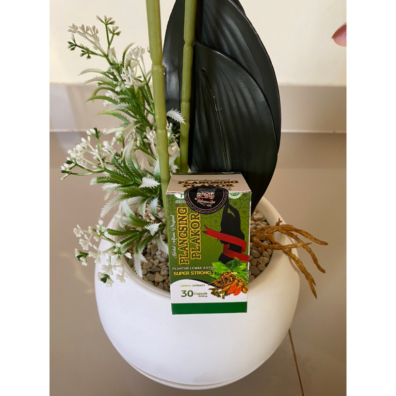 Pelangsing pelakor ( peluntur lemak kotor )