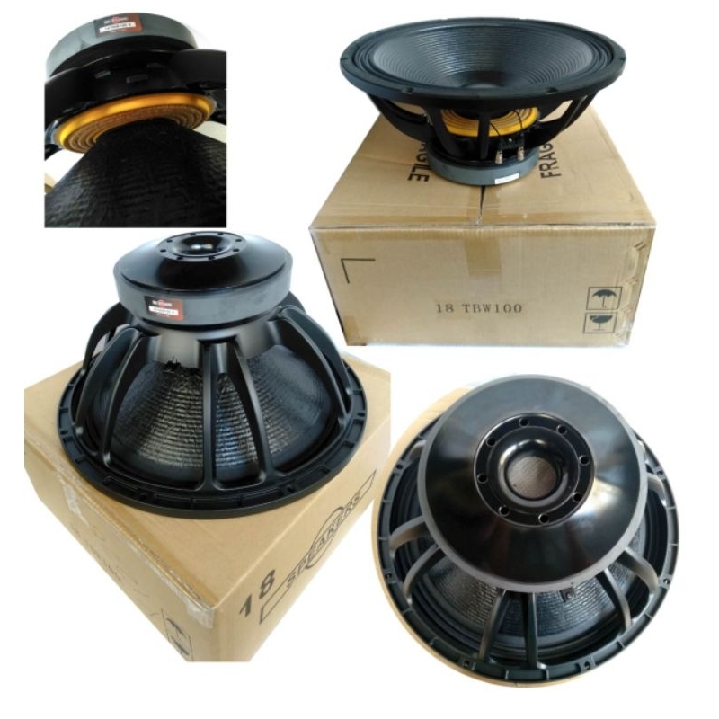 speaker bnc TBW 100