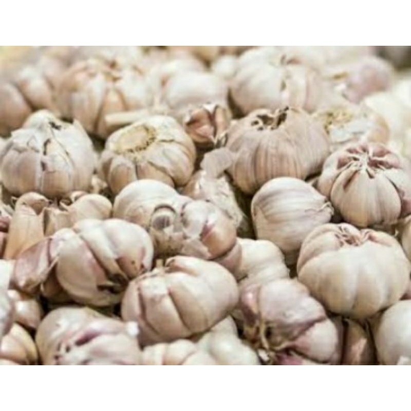 

Bawang Putih Honan Bersih Import Bumbu Dapur Rempah