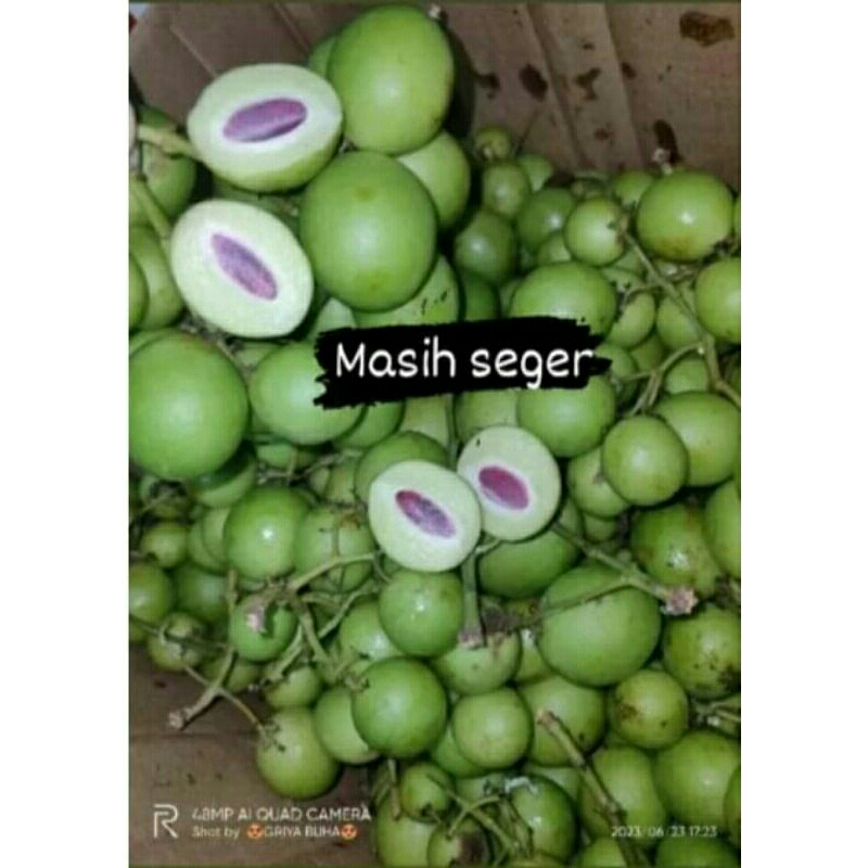 

Buah Jatake Gandaria
