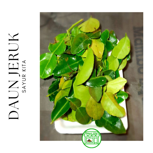

Daun Jeruk 50 gram