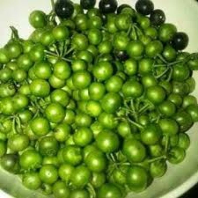 

leunca 250gr