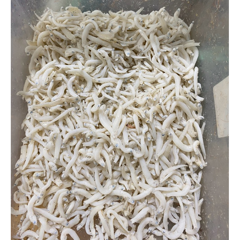 

Teri nasi/ teri medan 100 g