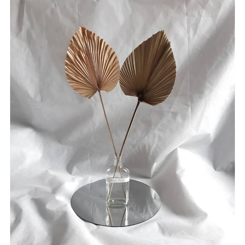 Daun palem mini murah / daun palem kering