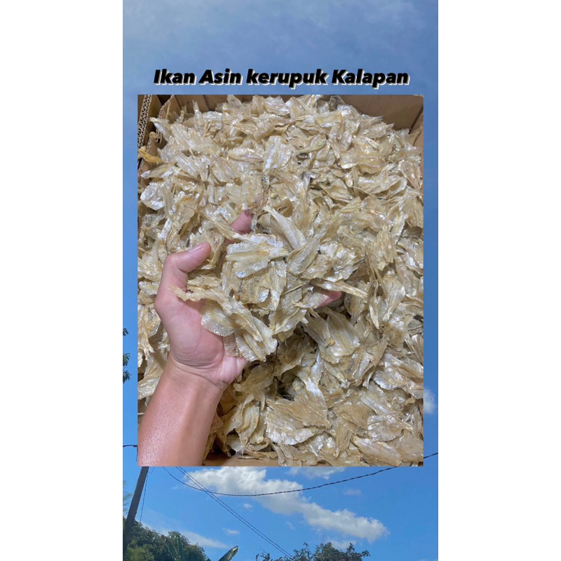 

Ikan Asin Kerupuk Kalapan Tipis 250gr