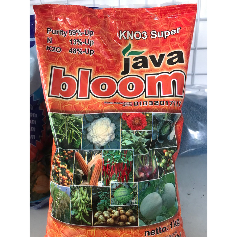 KNO3 Super Java Bloom