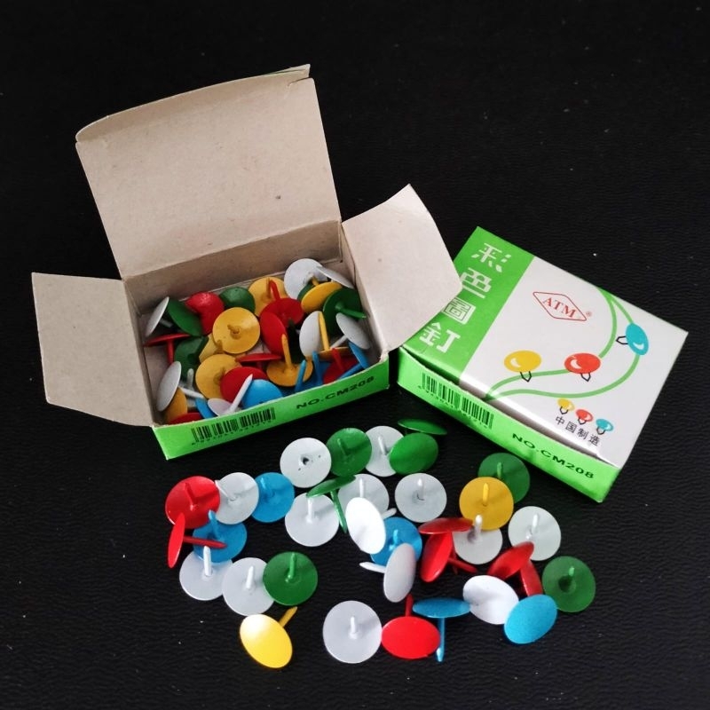 

Paku payung pines warna