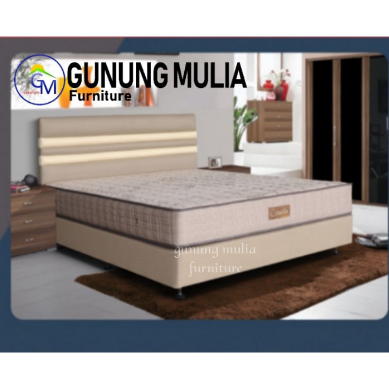Springbed Smartland Type Cornelia 100/120/160/180/200-100x100 Matras