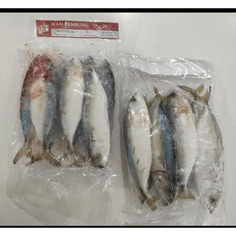

Ikan kembung banjar dj meat