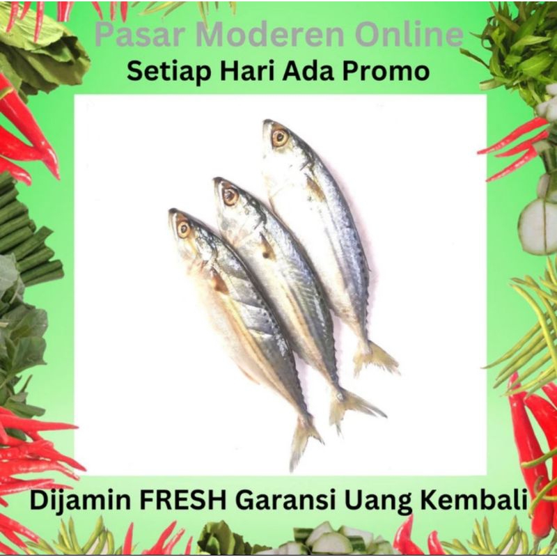 

IKAN KEMBUNG BANJAR SEGAR 500 GRAM/PEDAGANG/LAPAK/BAKUL/KEDAI/WARUNG/JUAL BELI SAYUR SAYURAN DAN IKAN SEGAR TERMURAH/PASAR MODEREN ONLINE