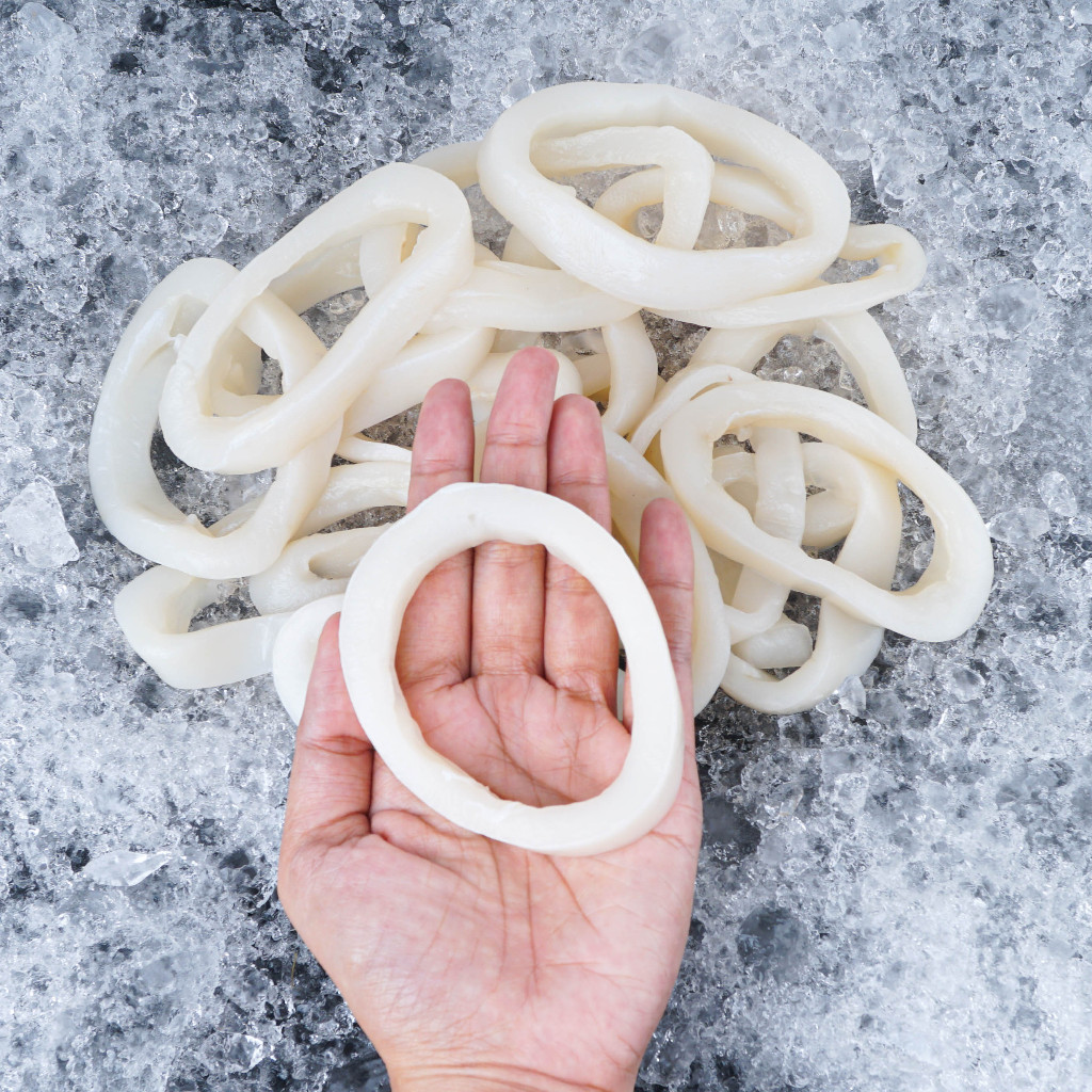 

Cumi Ring 500 gr Calamari Squid Ready in 15 min