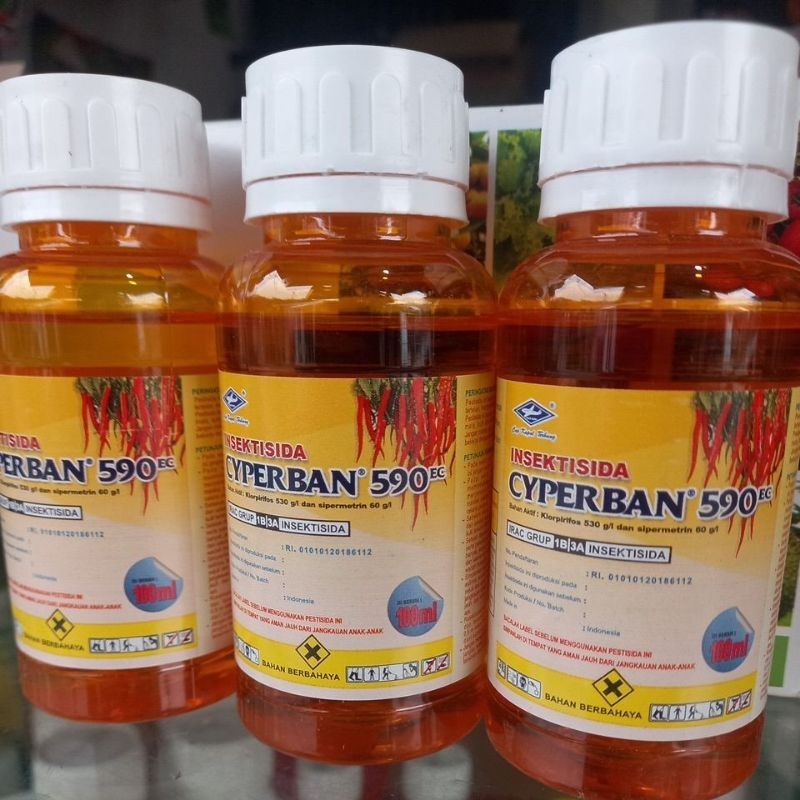 Insektisida Cyperban 590 EC Kemasan 100 Ml
