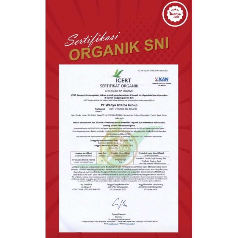 

SAPI ORGANIK WAHYU BEEF 500 GR (USUS, OTOT/URAT)