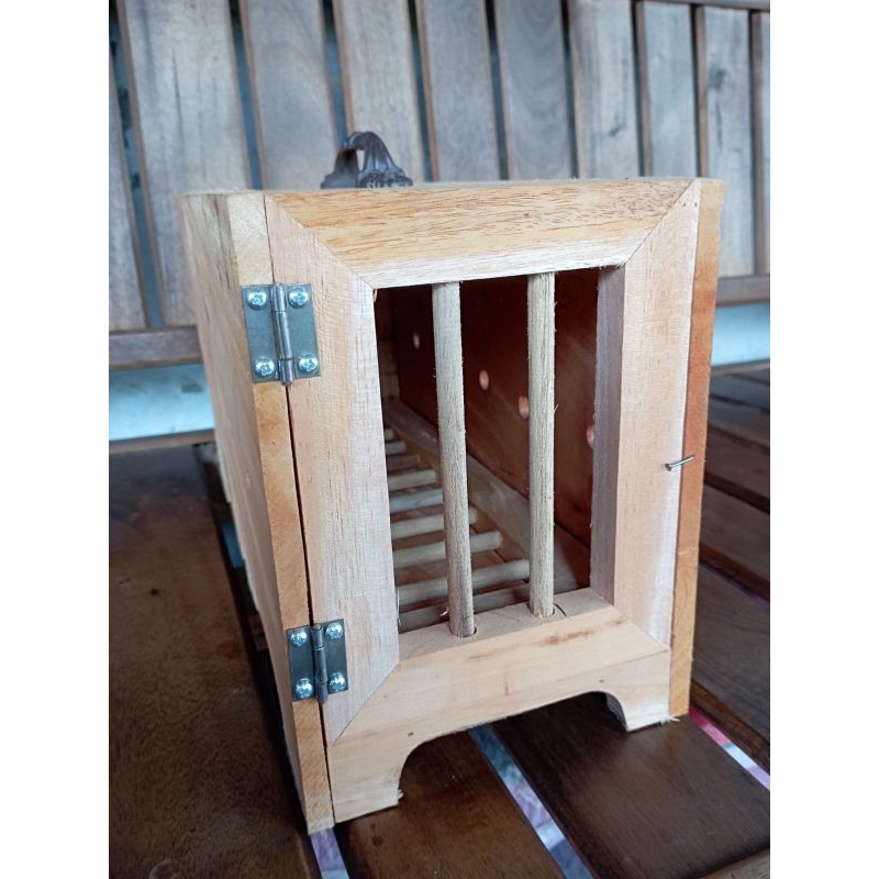 box bawa burung merpati dara