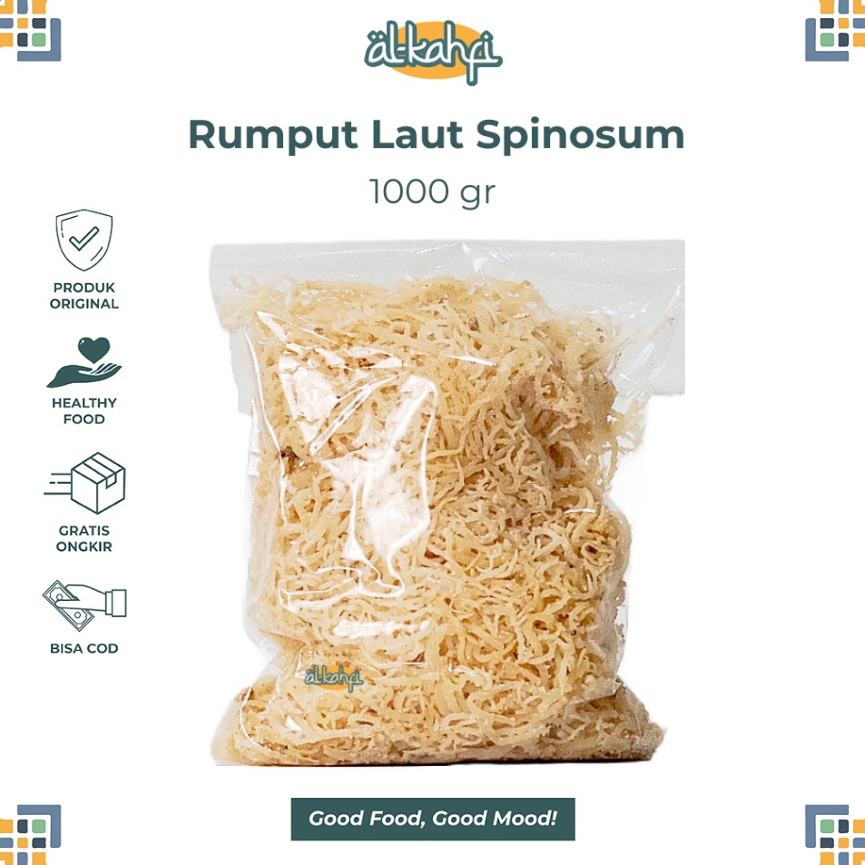 

Produk Ekslusif Rumput Laut 1 Kg Kering Spinosum Kenyal Original Halal