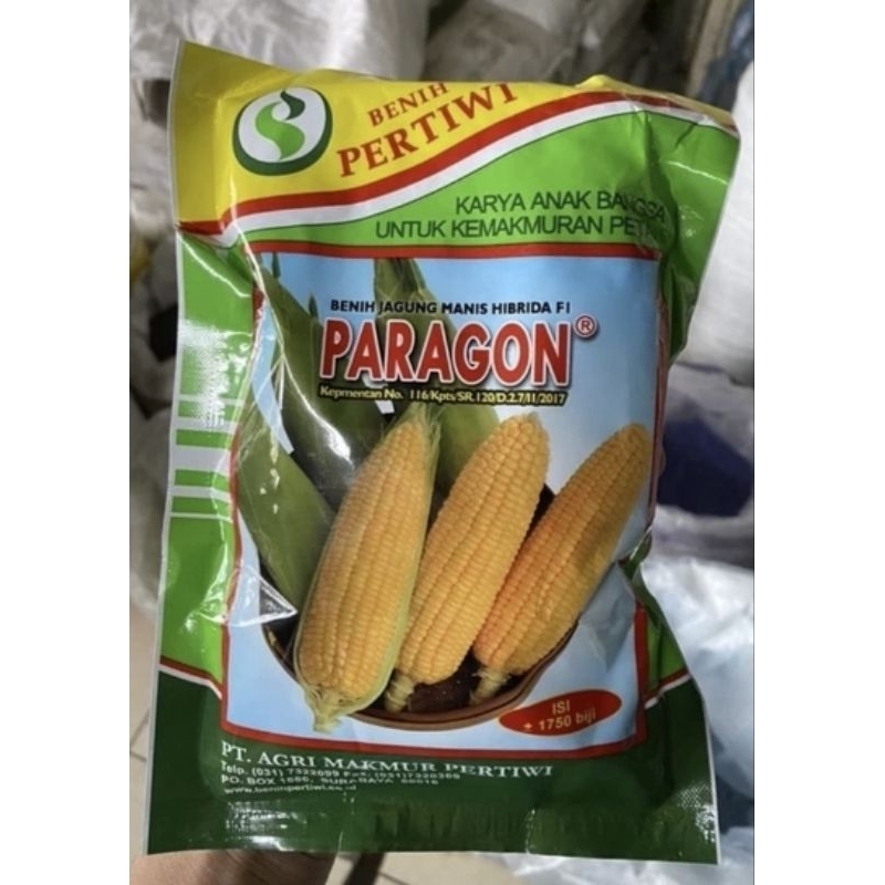 Benih Jagung Manis Paragon 250 gr- Bibit jagung manis Pertiwi