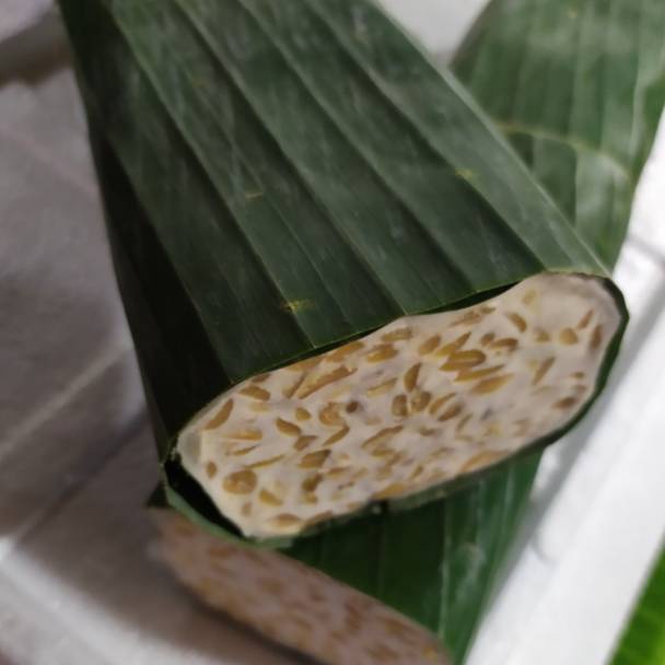 

Belanja disini Tempe6 gram