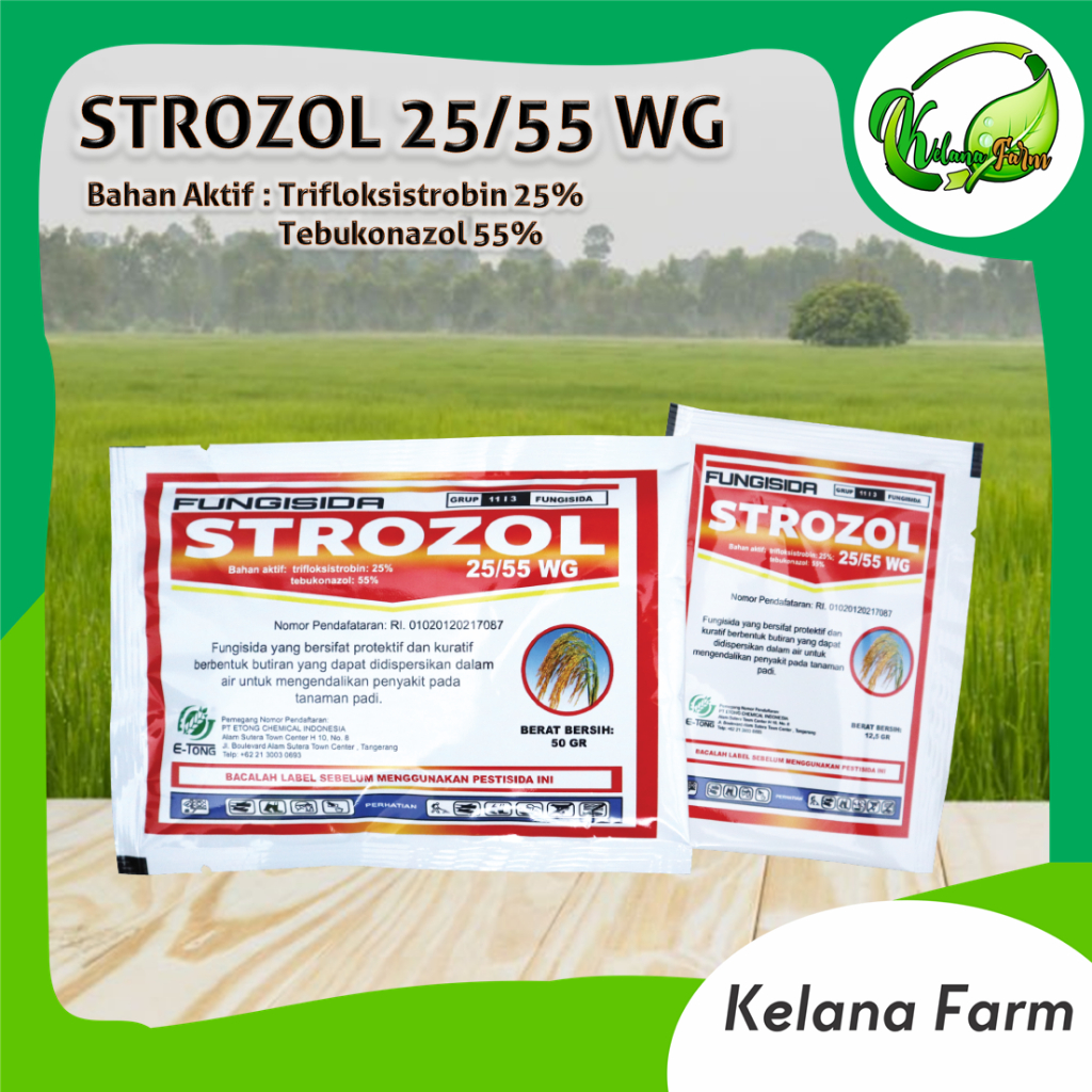 STROZOL 50gr FUNGISIDA TRIFLOKSISTROBIN TEBUKONAZOL UNTUK PENYAKIT BLAST PADA TANAMAN PADI PT ETONG
