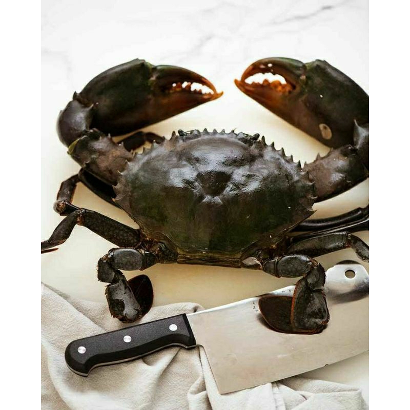 

Kepiting bakau 1Kg 4ekor