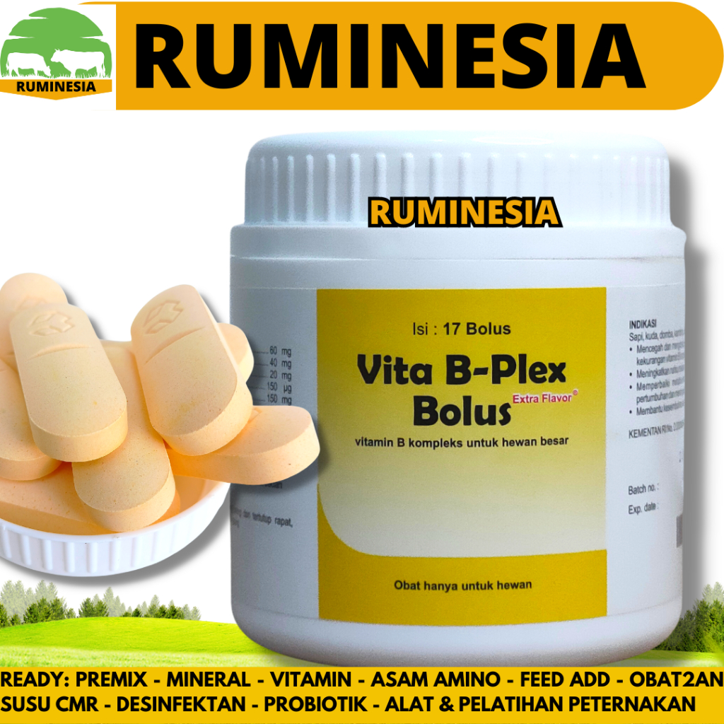 VITA B PLEX BOLUS 1 POT (17 BOLUS) MEDION - Vitamin B Complex Bolus Untuk Ternak Sapi Kambing Domba