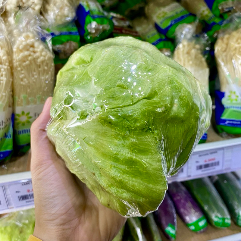 

Selada Air Lettuce