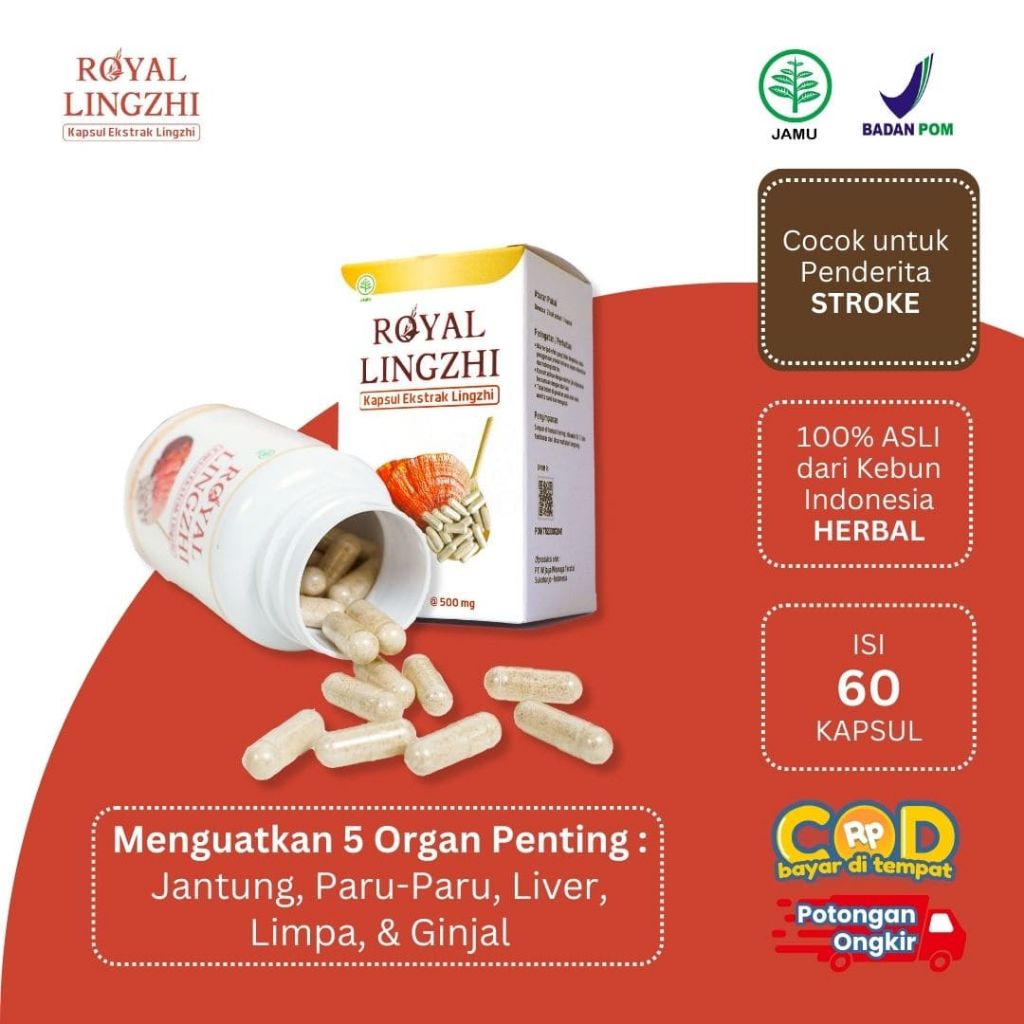 Royal Lingzhi Asli Original Obat Herbal Atasi Asam Urat Stroke Hipertensi Darah Tinggi Jantung Ampuh