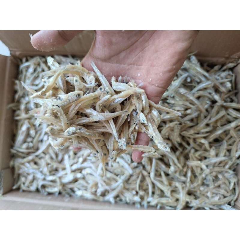 

IKAN ASIN TERI ASIN KERING/BULAT 250GR