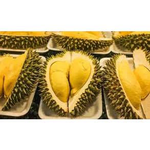 

[TERMURAH] Durian Kane Berkualitas