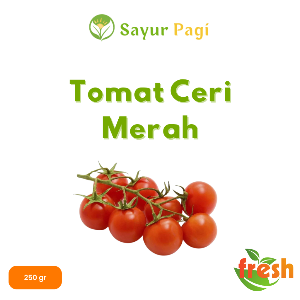 

Sayur Segar Tomat Cherry - Sayur Pagi Online