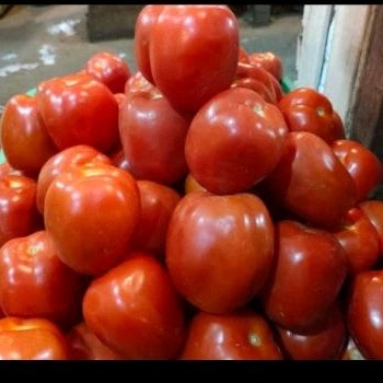 

Tomat Merah fresh tersedia di pasar Senen 500gram