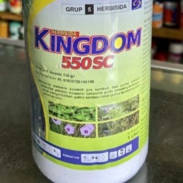 Kingdom 550SC 200 ml ametrin herbisida sistemik basmi gulma rumput