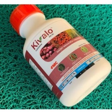 Kivalo 400 SC 250 Ml fungisida Tebukonazol anti jamur tanaman